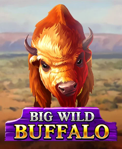 Play Big Wild Buffalo at Mr Oyun Casino